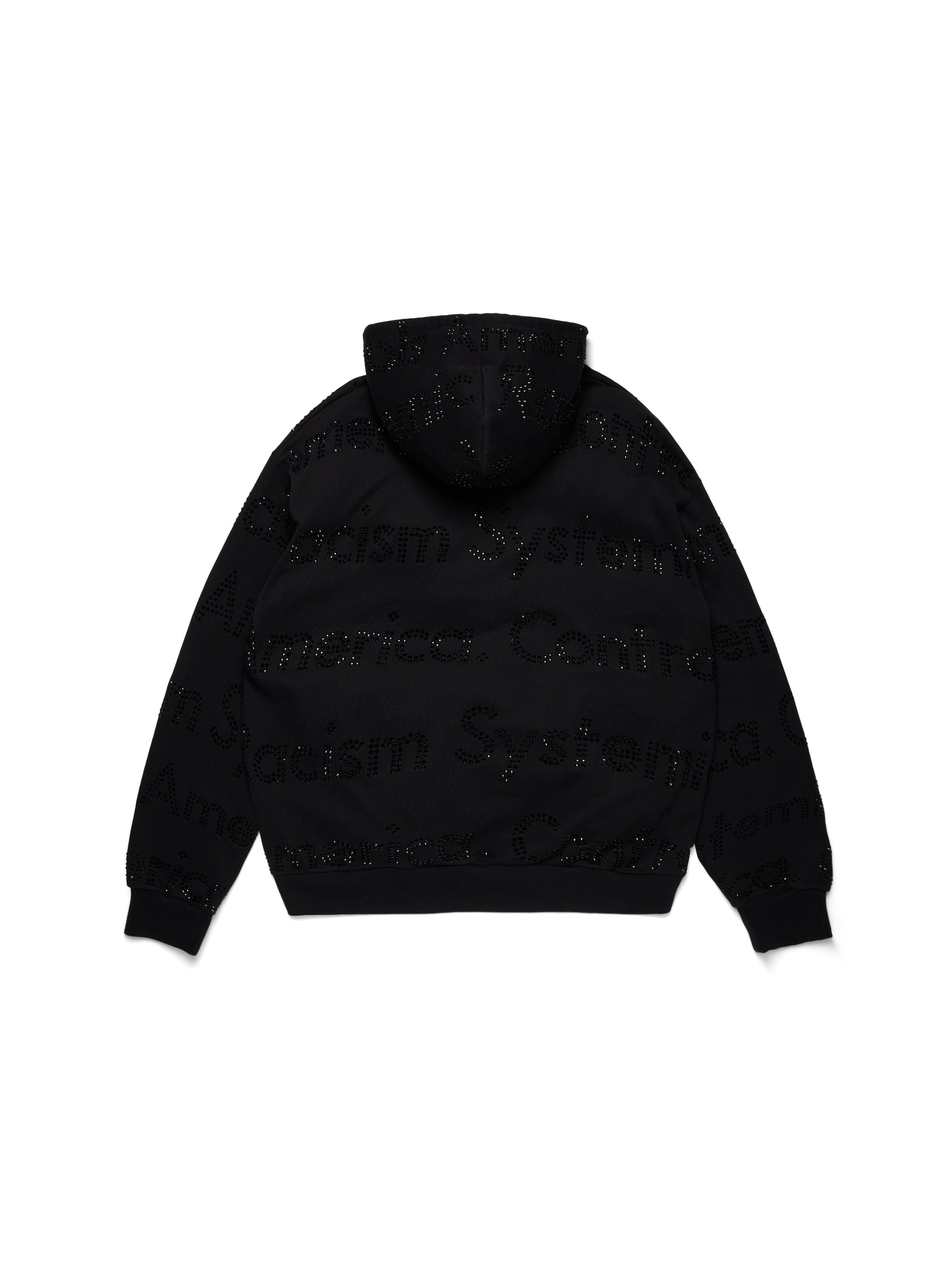 Systemic Racism Controls America Zip Hoodie Black